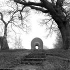 Ljuset - Fotosyntesen